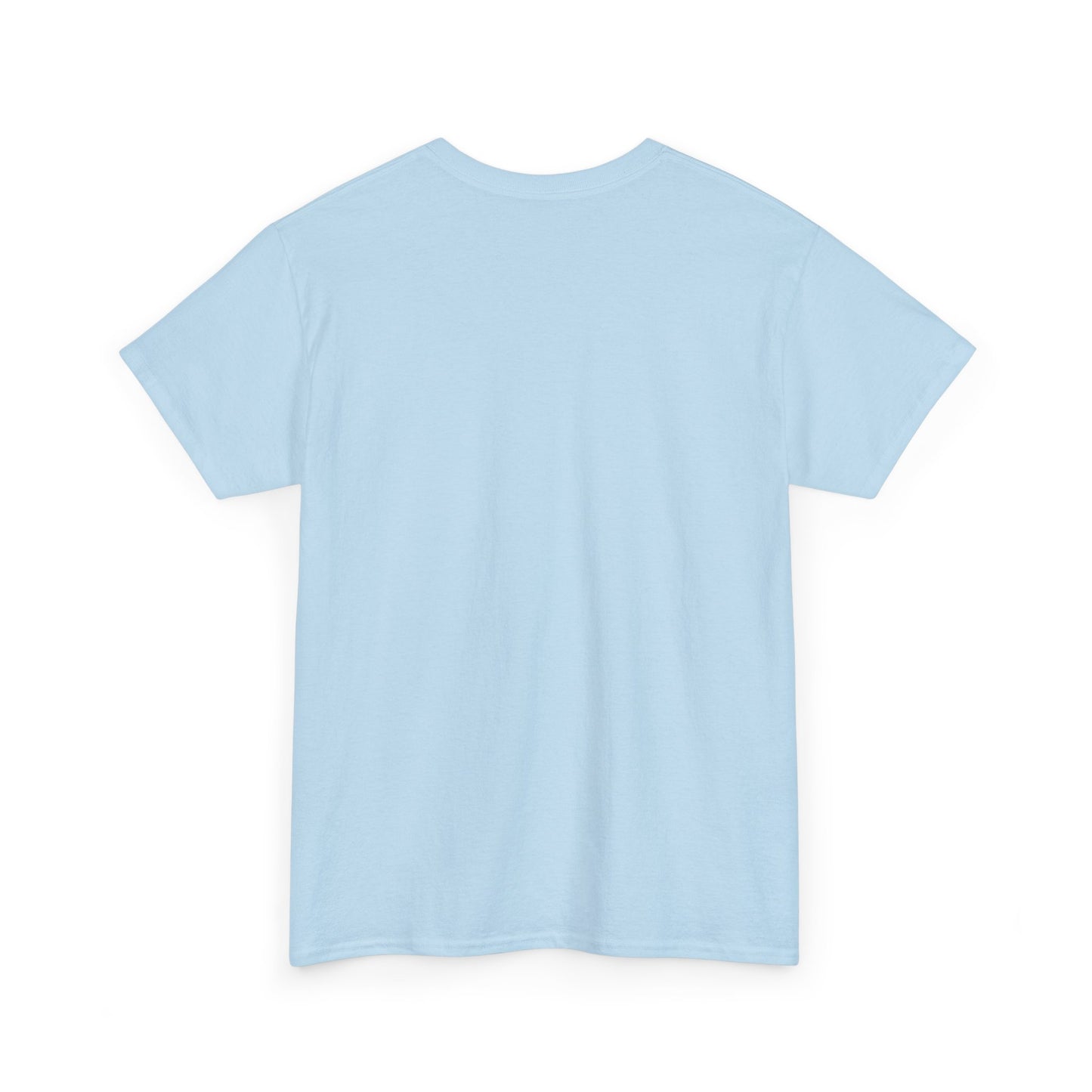 Light Blue Silk Color Unisex Heavy Cotton Blank Tee