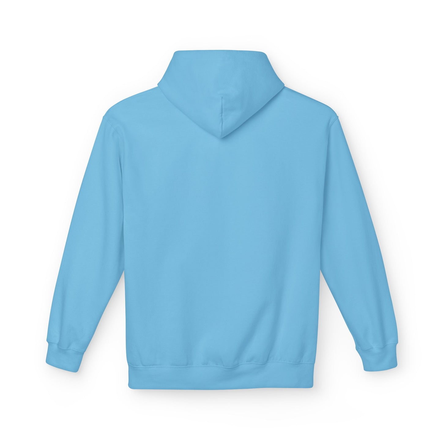 Sky Unisex Midweight Softstyle Blank Fleece Hoodie