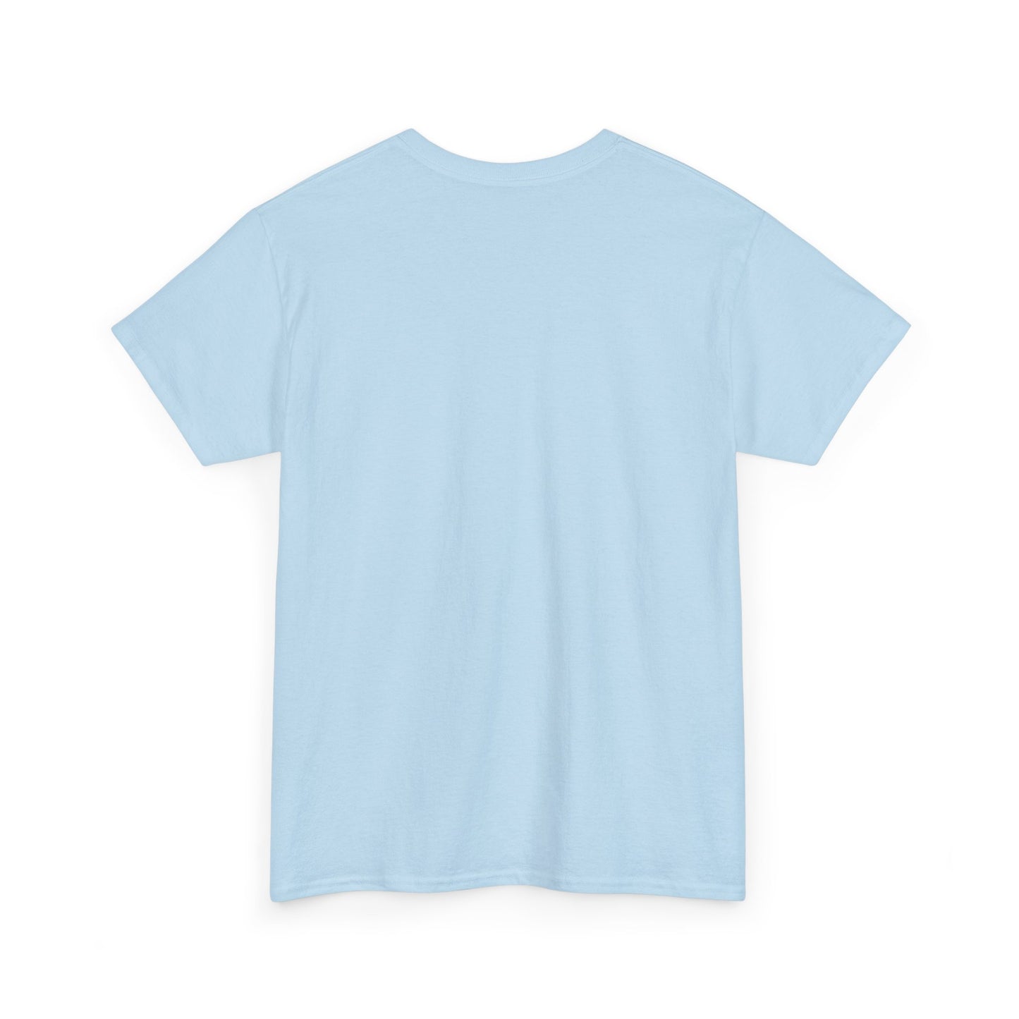 Light  Blue Silk Color Unisex Heavy Cotton Blank Tee