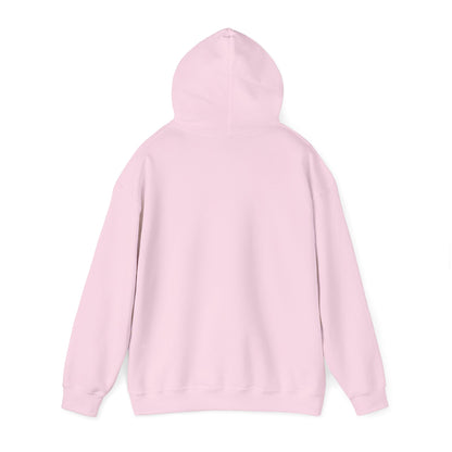 Light Pink Unisex Heavy Blend™ Blank Hooded Sweatshirt