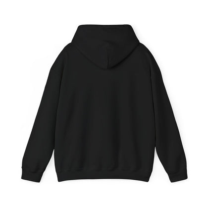 Black Unisex Heavy Blend™ Blank Hooded Sweatshirt