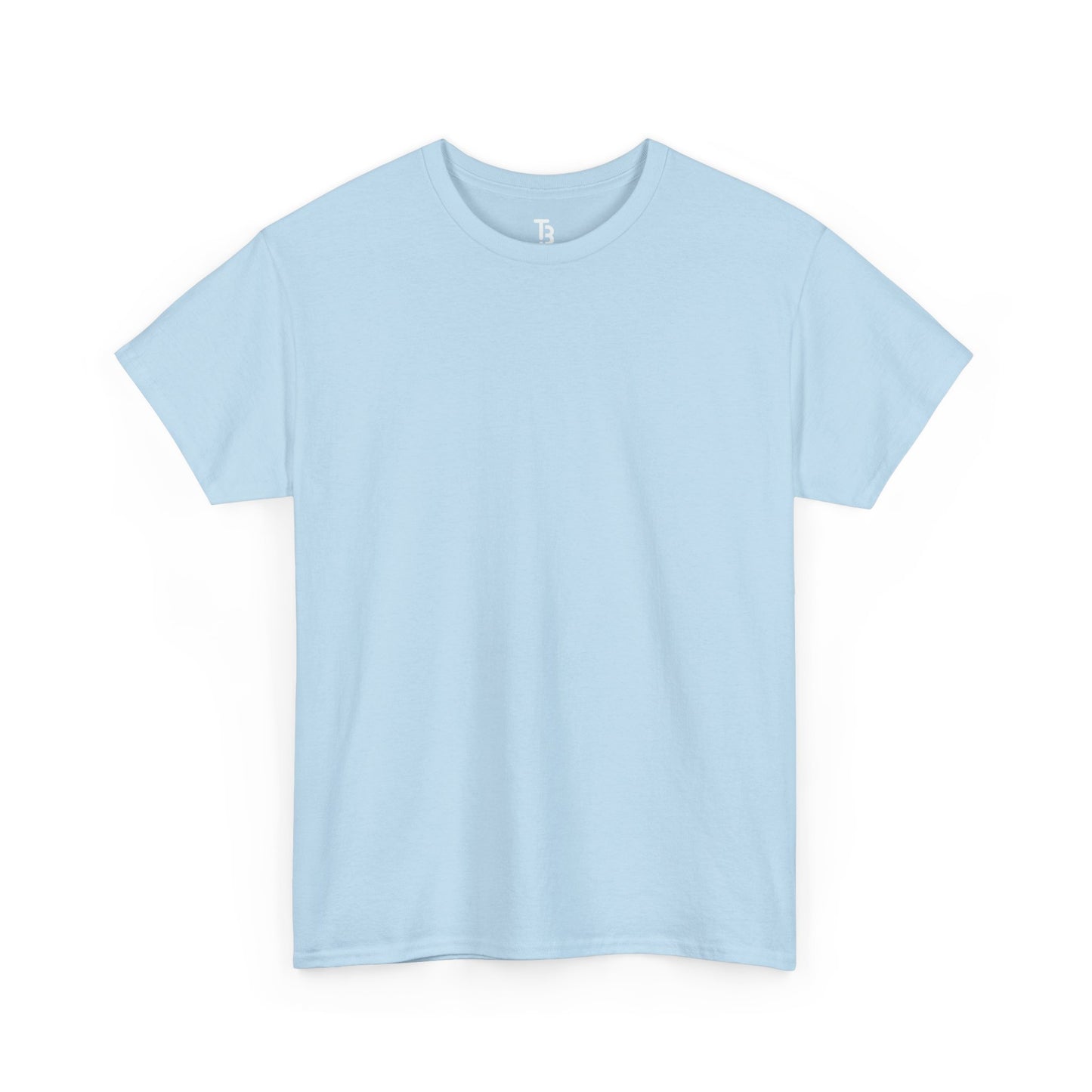 Light  Blue Silk Color Unisex Heavy Cotton Blank Tee