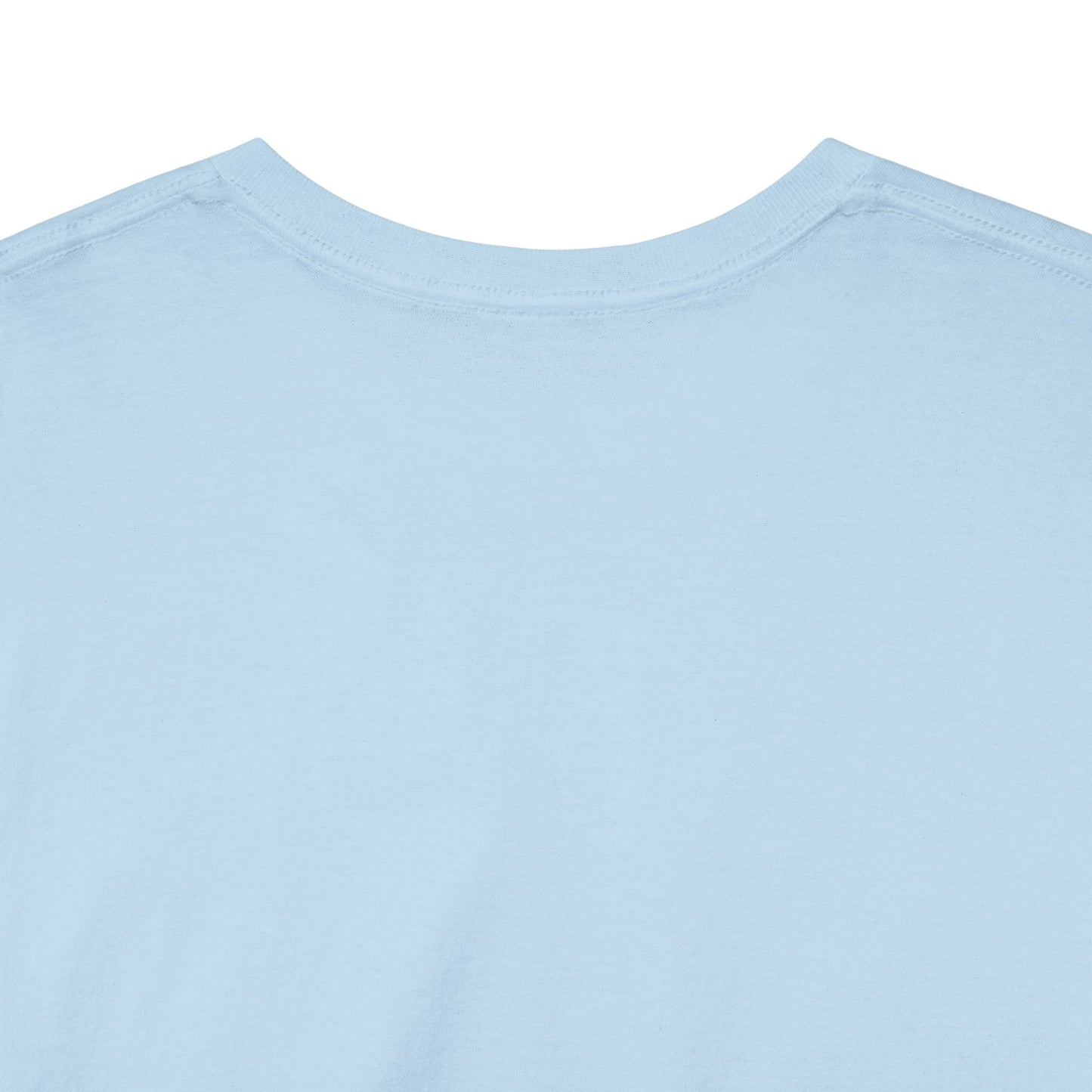 Light  Blue Silk Color Unisex Heavy Cotton Blank Tee